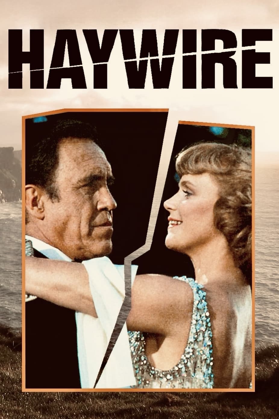 Постер Haywire